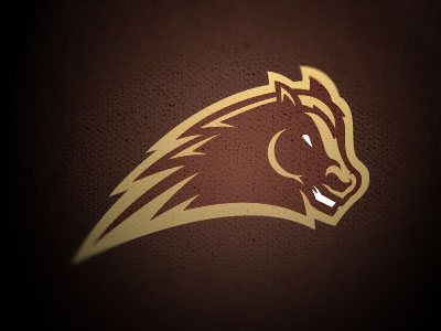 30 Turbo Awesome Sports Logos That Make You Feel Super Sporty – Designbolts