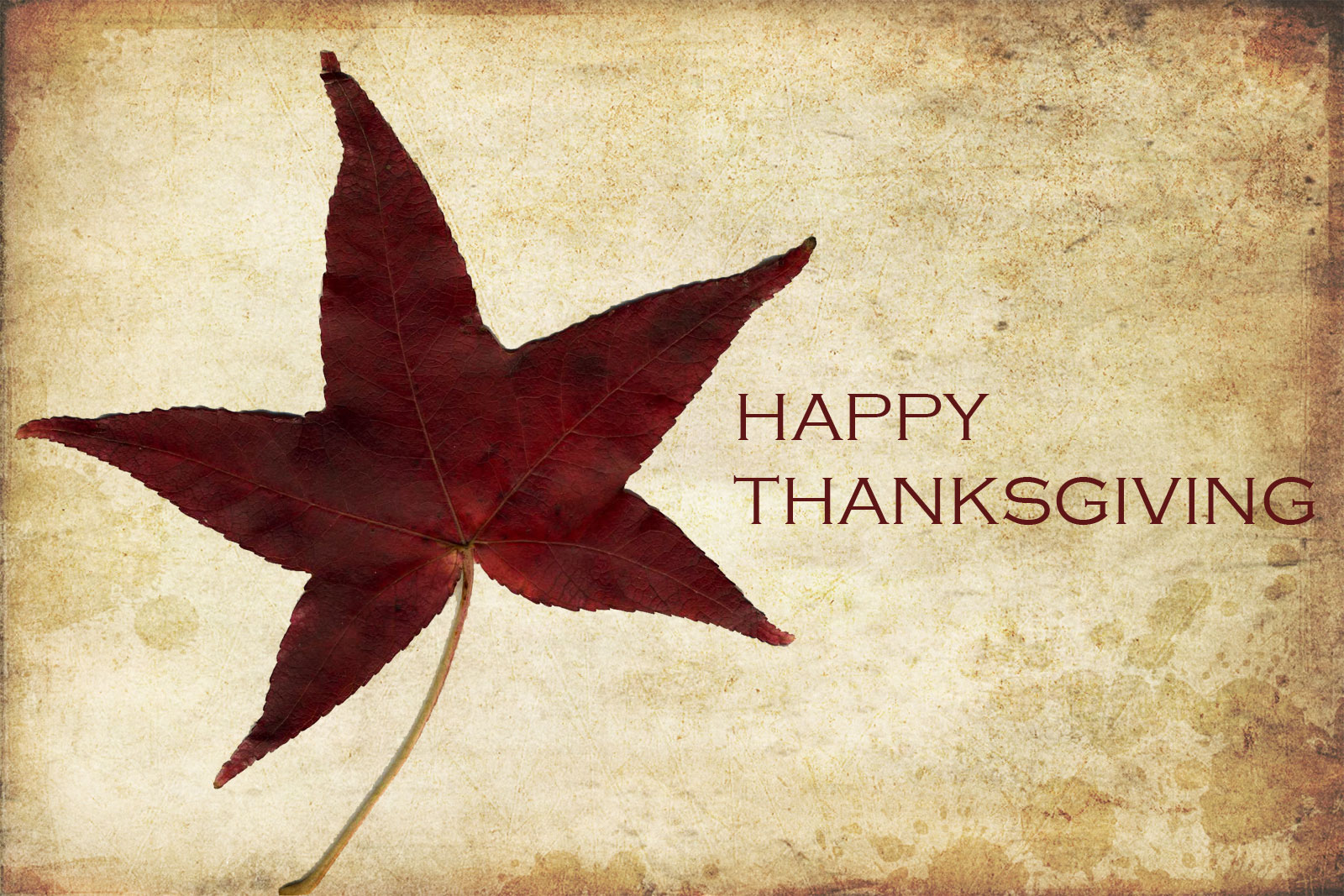 Happy Thanksgiving Day 2013 HD Wallpapers & Facebook Cover Photos – Designbolts
