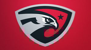 20+-Eagle-Logo-Design-Inspiration