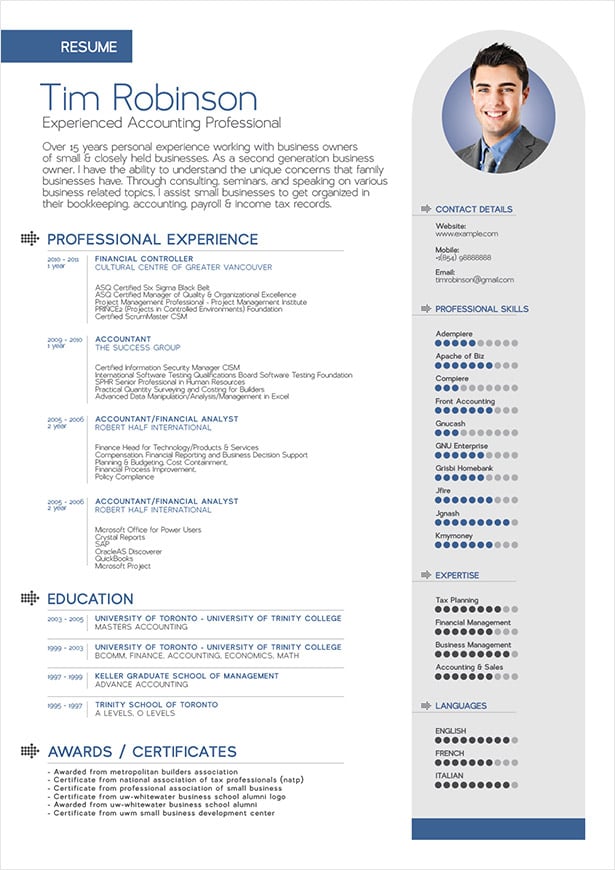 Accountant resume sample professional curriculum