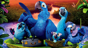 Rio-2-(2014)-Movie-HD-Wallpapers-&-Facebook-Cover-Photos