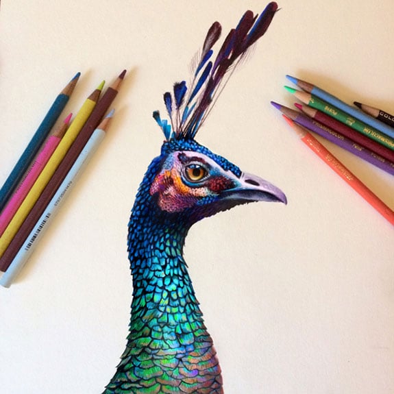 Amazing Colored Pencil Drawings by Morgan Davidson ...