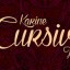 10-Free-Stylish-Cursive-Fonts-for-Script-Writing-64x64.jpg