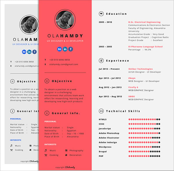 Professional resume template indesign free