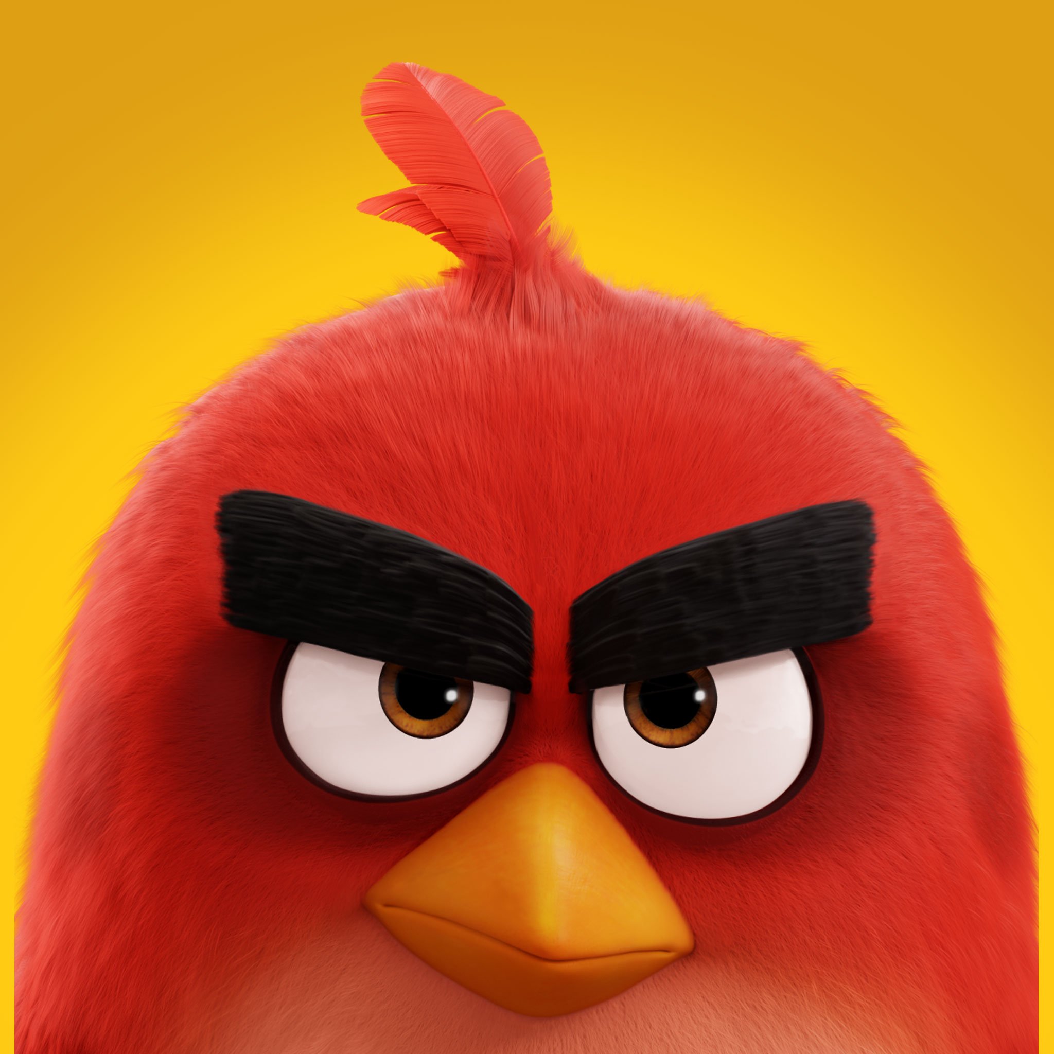 The Angry Birds Movie (2016) HD Desktop, iPhone & iPad 