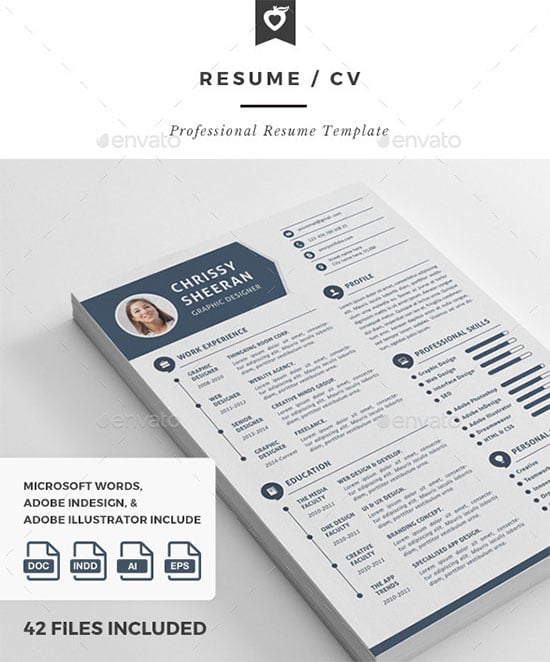 10 all time best premium simple  u0026 infographic resume    cv template in word  ai  indd  psd  u0026 cdr
