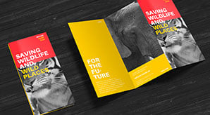 Free-Z-Fold-Brochure-Mockup-PSD-2