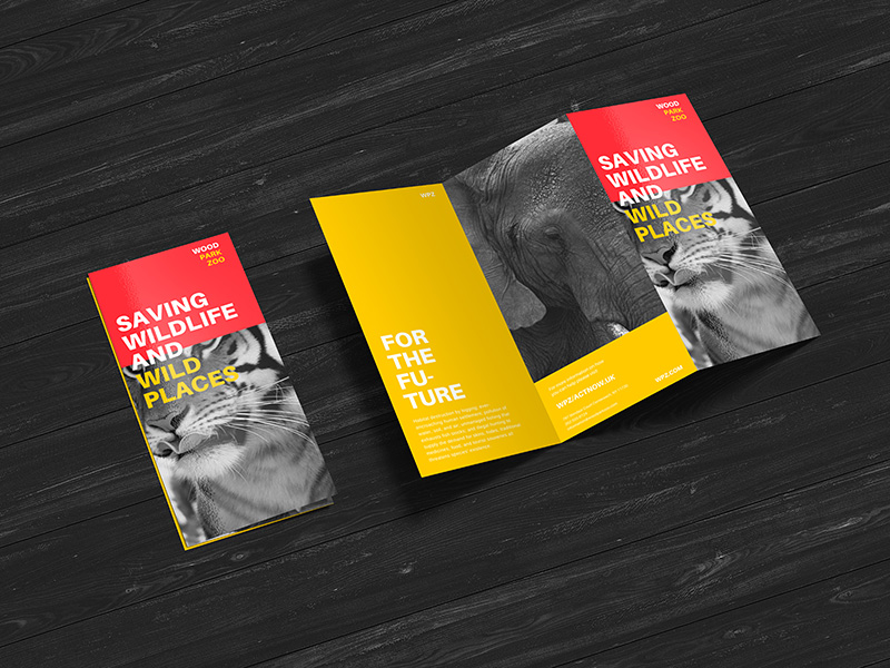 Single Page Brochure Templates Psd