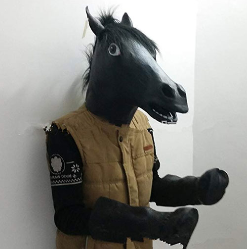 50+ Best Scary & Funny Full Head Halloween Masks of 2018