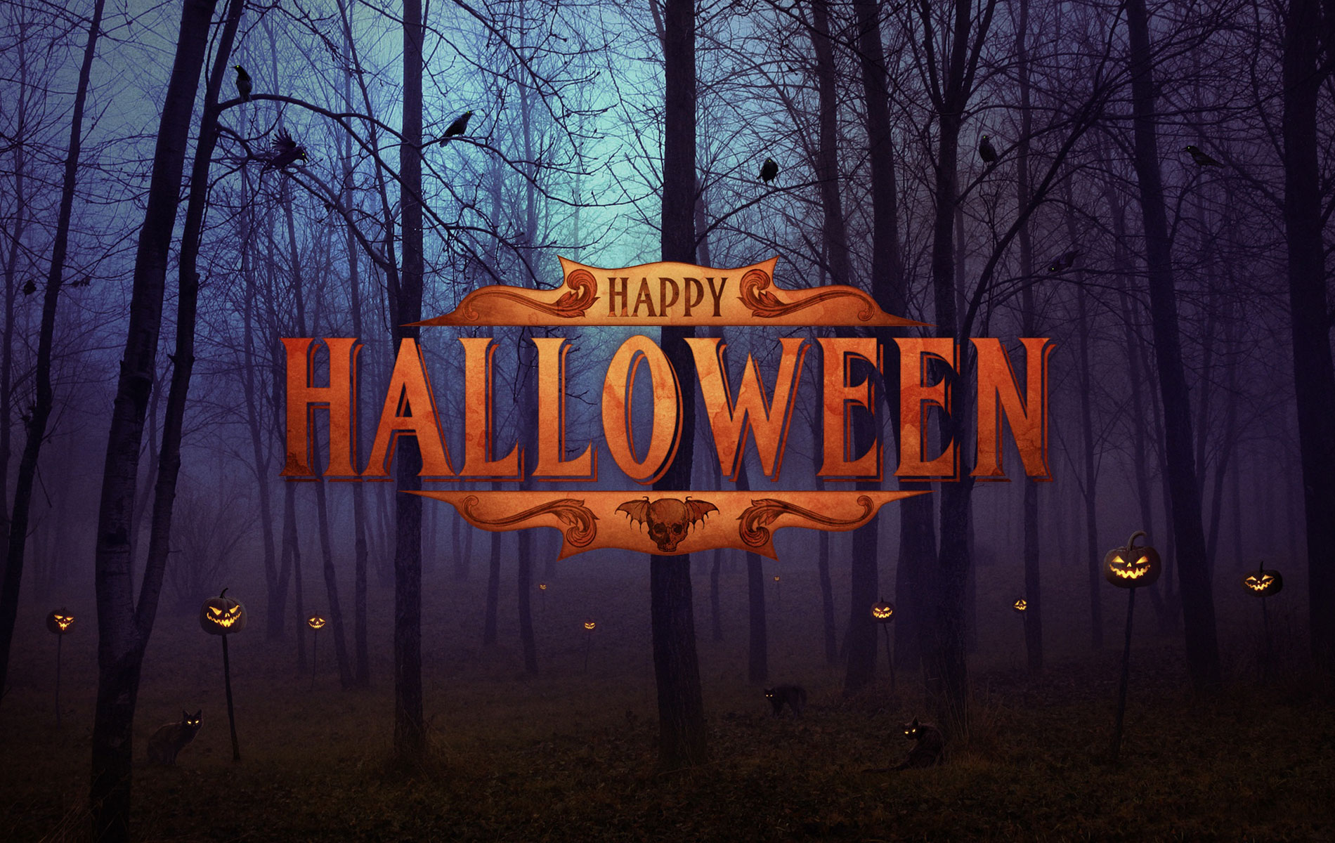50+ Scary Halloween 2018 HD Wallpapers, Backgrounds, Pumpkins, Witches