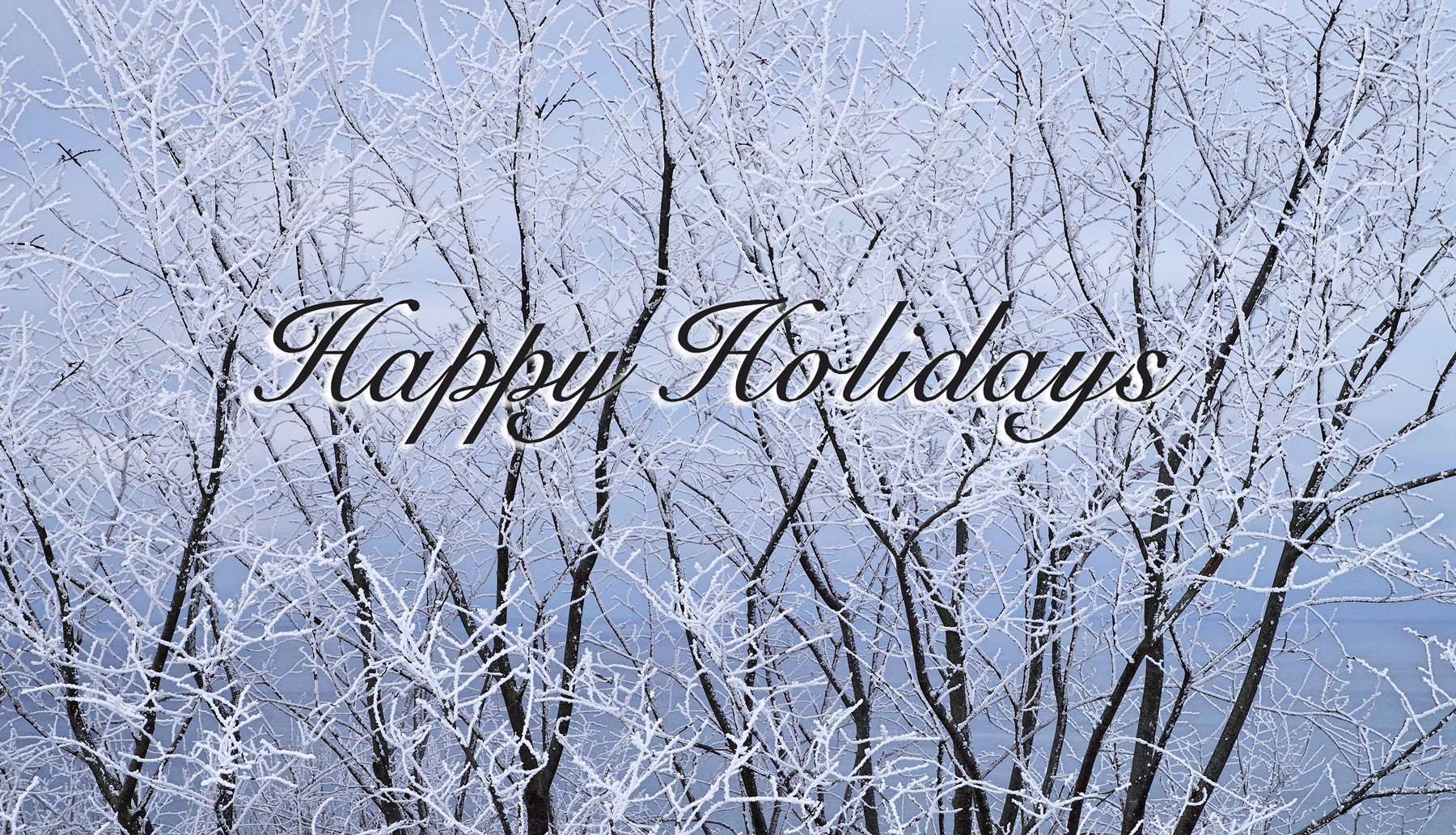 25 Most Beautiful Happy Holidays Stock Photos & Wish Images 2018