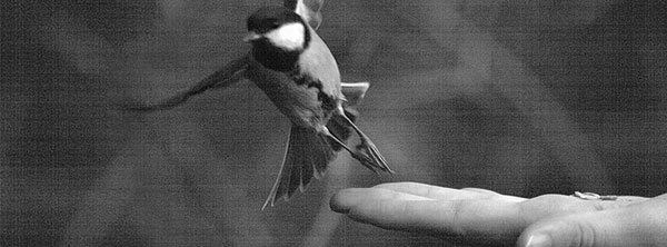 Greyscale-Photography-Fb-Cover-Photo