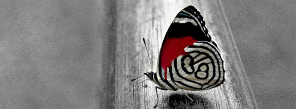 cute-girly-cool-facebook-timeline-cover-photos