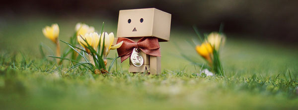 Danbo-Spring-Cover-timeline