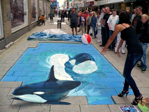 Dolphin-in-water-3D-Street-Art-Painting