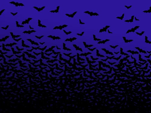 Happy-Halloween-2012-Bats-HD-Wallpaper