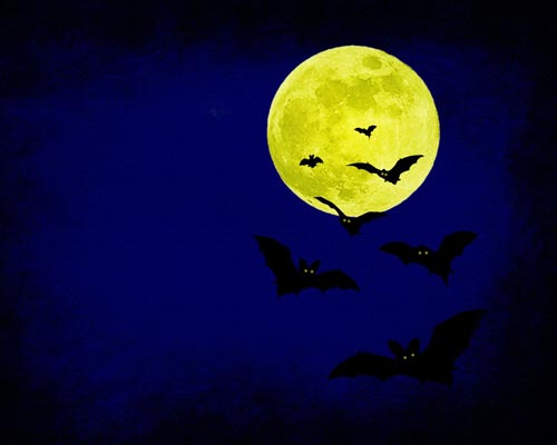 Scary-Halloween-2012-Bats-HD-Wallpaper
