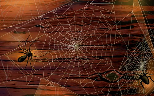 Scary-Halloween-2012-Spiders-HD-Wallpaper-2
