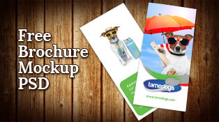 Free-Tri-Fold-Brochure-Mockup-PSD-Template