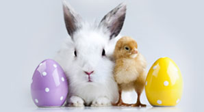 Happy-Easter-2013-Eggs,-Bunnies,-Basket-Pictures,-Images-&-Backgrounds