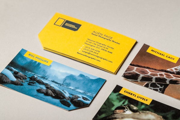 National-geographic-business-card-designs-&-rebranding-project-3