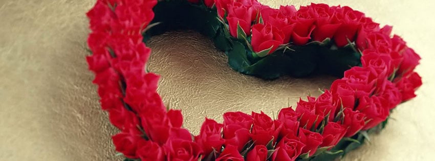 Rose-Flowers-for-Valentine's-day-2014-cover-photo
