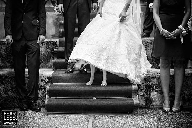 Amazing-Collection-of-Award-Winning-Wedding-Photography--(7)