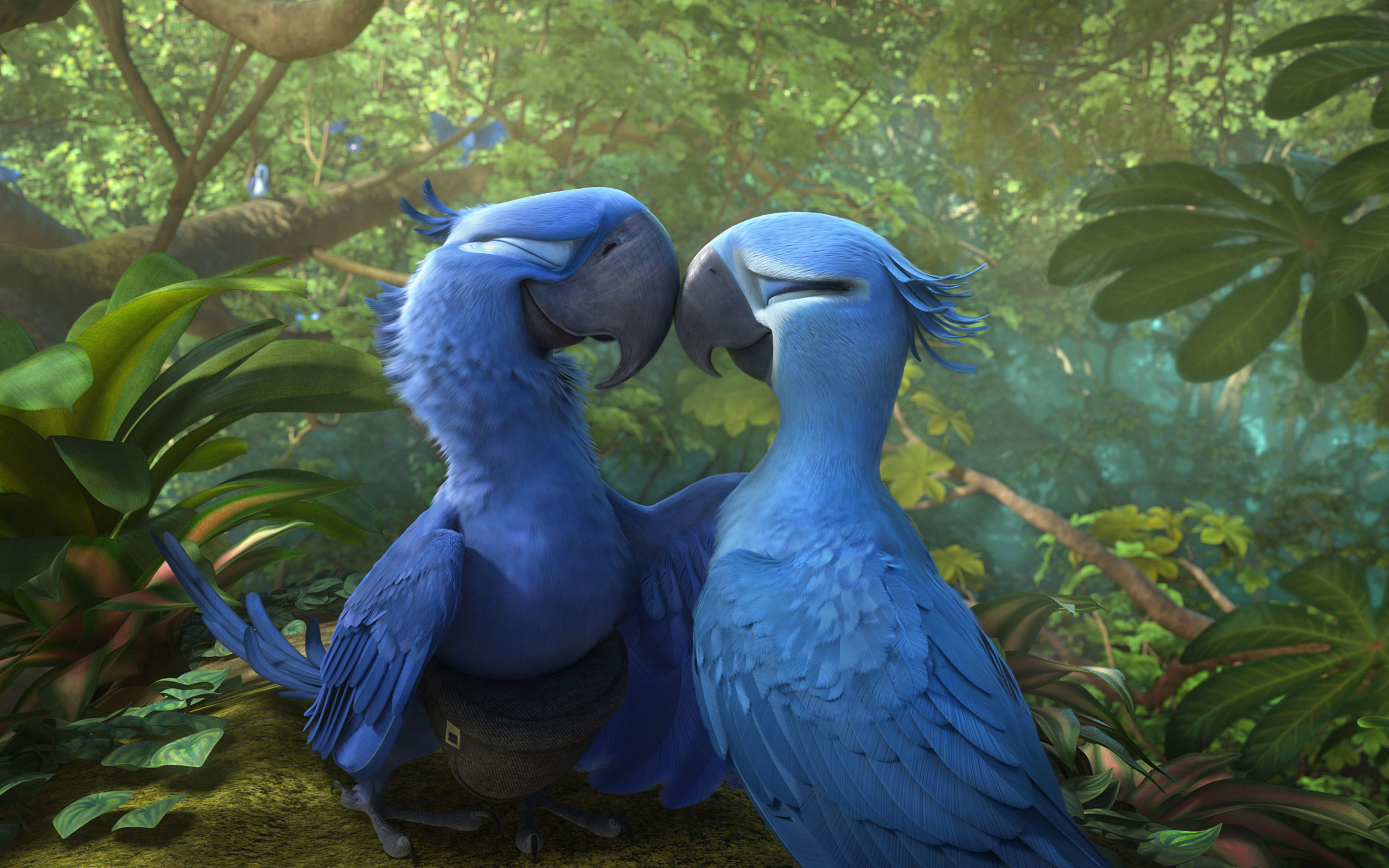 Rio 2 14 Movie Hd Wallpapers Facebook Cover Photos