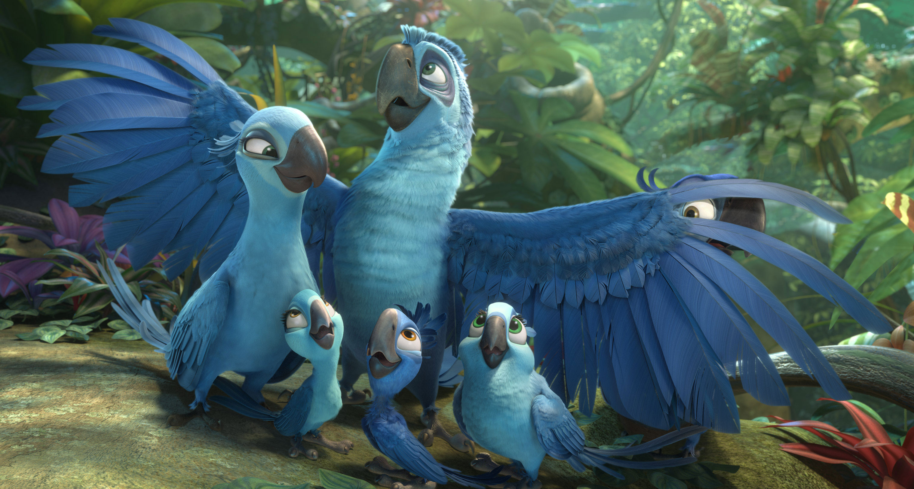 Rio 2 2014 Movie Hd Wallpapers And Facebook Cover Photos