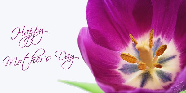 2014-Happy-mothers-day-flowers
