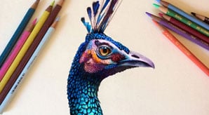 Amazing-Colored-Pencil-Drawings-by-Morgan-Davidson