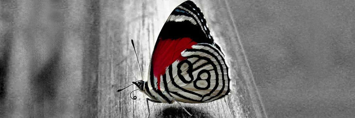 Cute Twitter Banner Pictures : Terbaru 32+ Cute Banner Backgrounds, Cool twitter header banners &