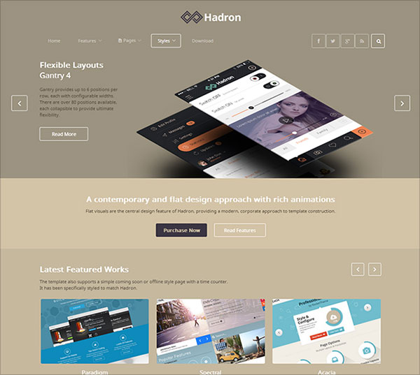 Hadron