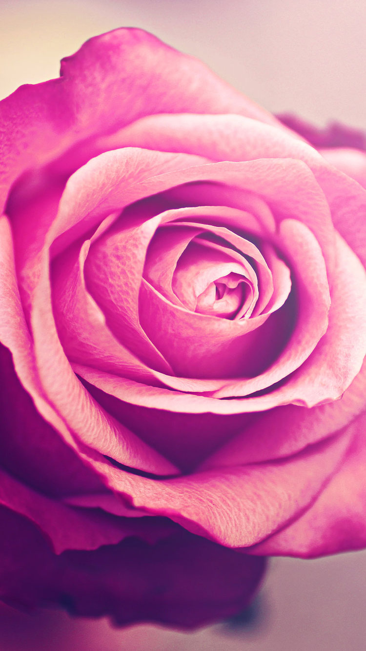 30 Best iPhone 6 Wallpapers & backgrounds in HD Quality 30 Best iPhone 6 Wallpapers & backgrounds in HD Quality