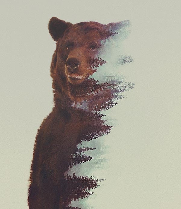 30 Best Double Exposure Photography Examples | A New Photo Trend of