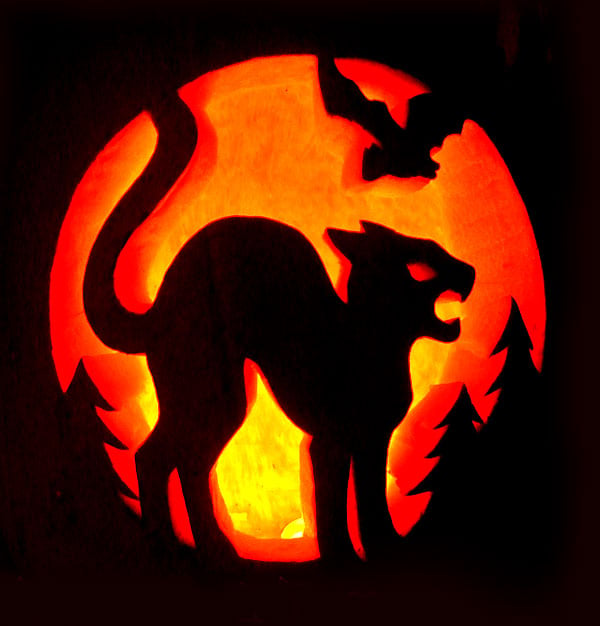 Scary-Cat-Halloween-Pumpkin-Carving-2015