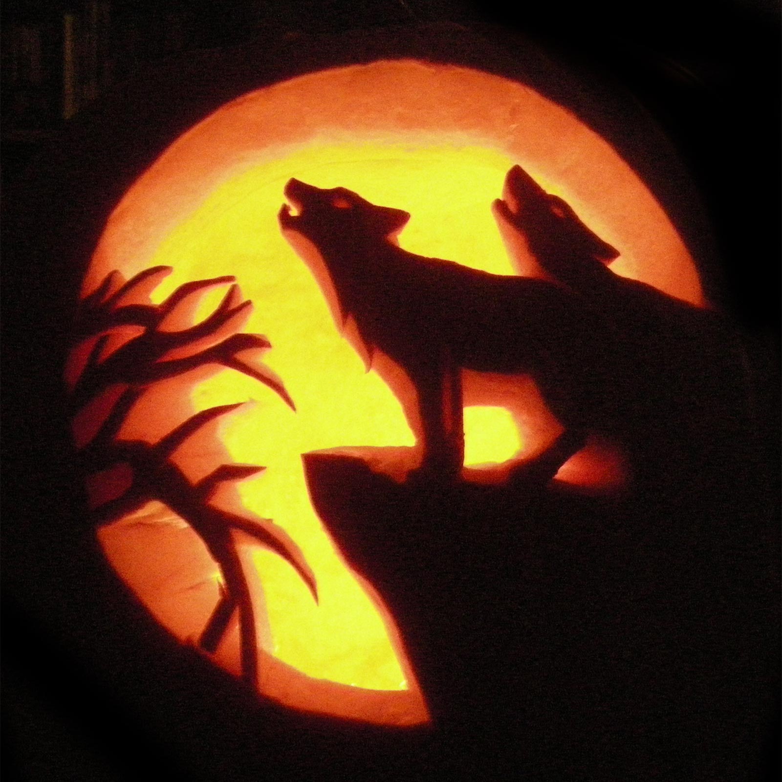 28 Best Cool & Scary Halloween Pumpkin Carving Ideas, Designs & Images 2015