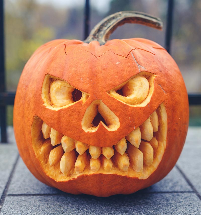 Enthusiasm For Pumpkin Carving In Your S Funny Halloween Gifs | My XXX ...