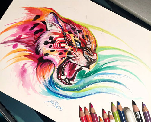 color pencil drawing animals