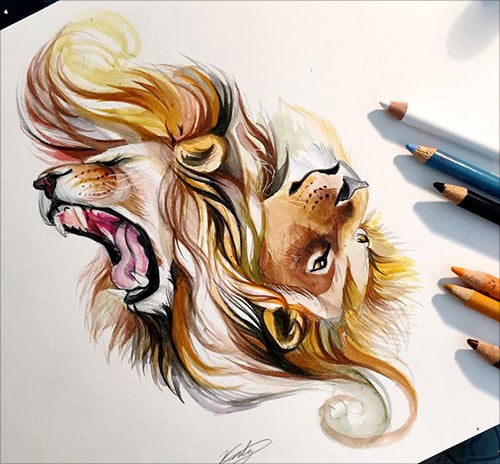 50+ Inspiring Color Pencil Drawings of Animals By Katy Lipscomb