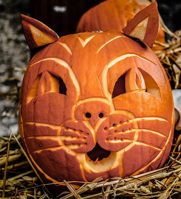 25 Cool Halloween Pumpkin Carving Ideas & Designs for 2016