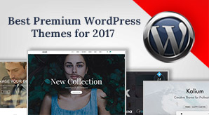 10-versatile-wp-themes-for-a-robust-website-in-2017-beyond