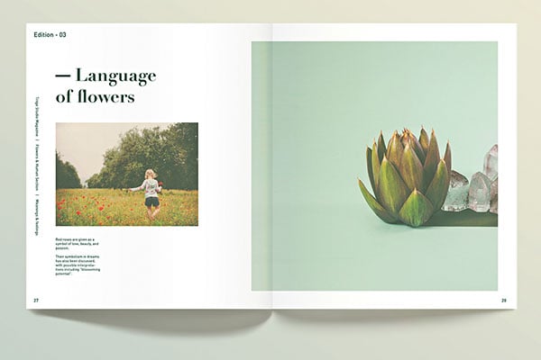 Tiny-Catalogue-Design-Ideas-3