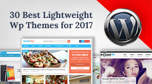 30-best-lightweight-premium-wordpress-themes-for-2017