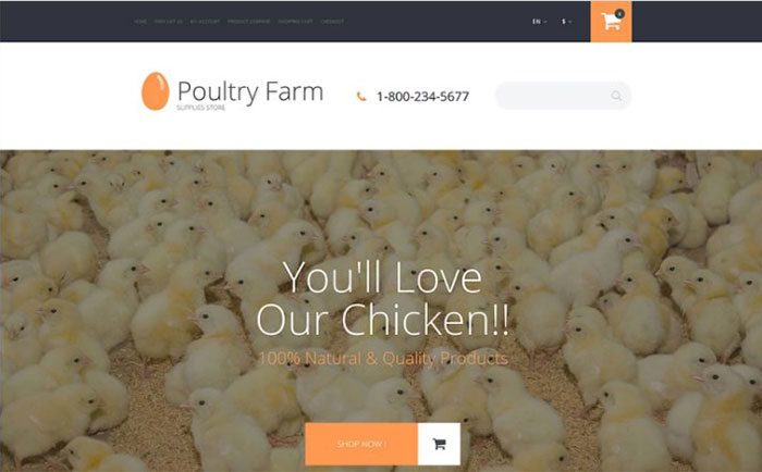 Poultry Farm