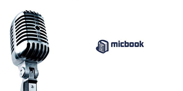 Mic-logo-design-creative