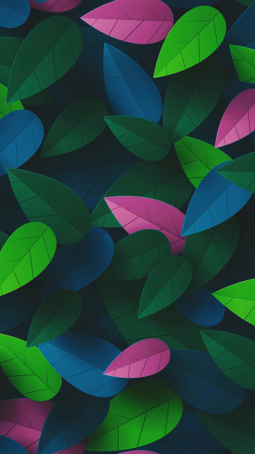 Colorful-Leaves-Apple-iPhone-7-Plus-&-Xiaomi-MiUI-9-background