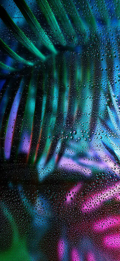 Wet-iPhone-X-Wallpaper-HD