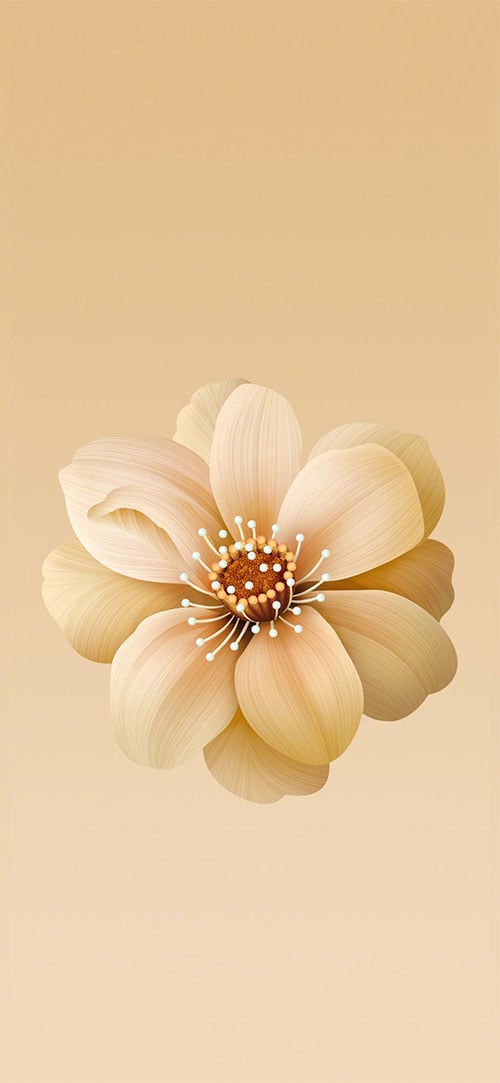 Flowr-iphone-wallpaper