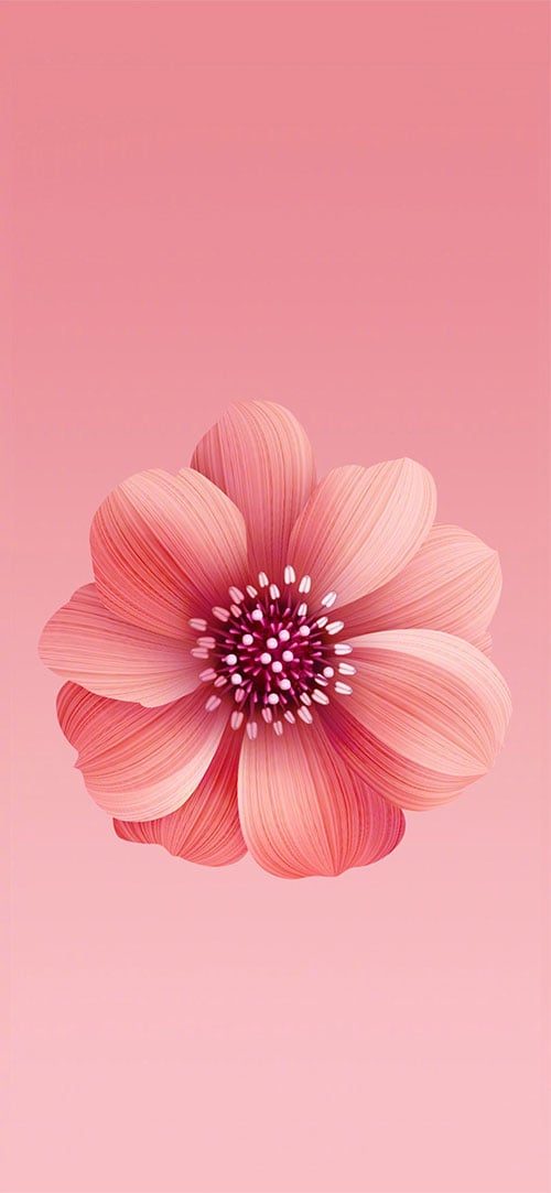 Pink-Flower-Apple-iPhone-X-Background
